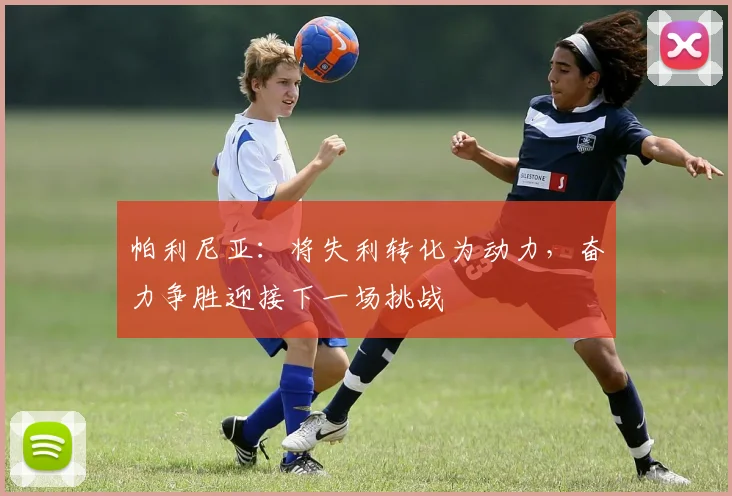帕利尼亚：将失利转化为动力，奋力争胜迎接下一场挑战